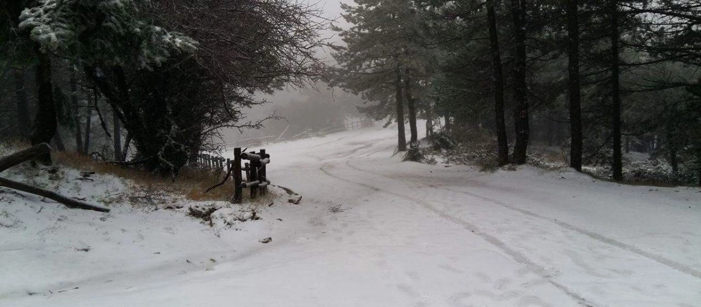 Στα «λευκά» ντύθηκε η Πάρνηθα (βίντεο)